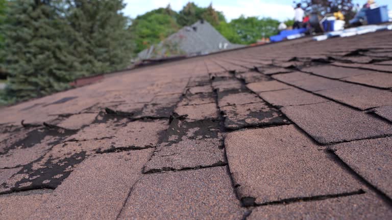 Best Gutter Replacement  in Sabina, OH