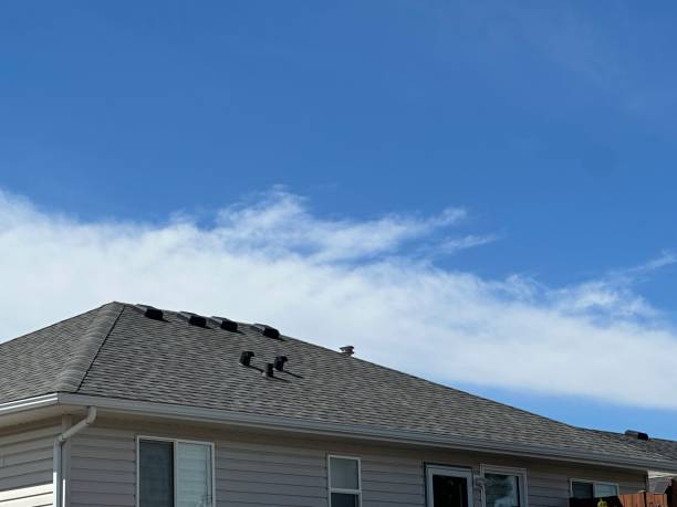 Best Skylight Installation and Repair  in Sabina, OH